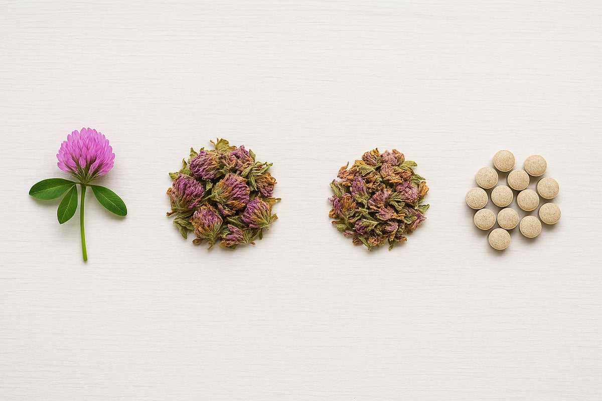 Red Clover - 120 Tablets
